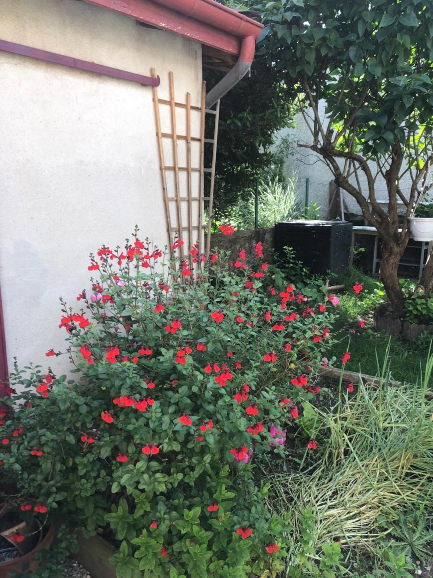 Ibis Rouge Villa Villars-les-Dombes Exterior foto