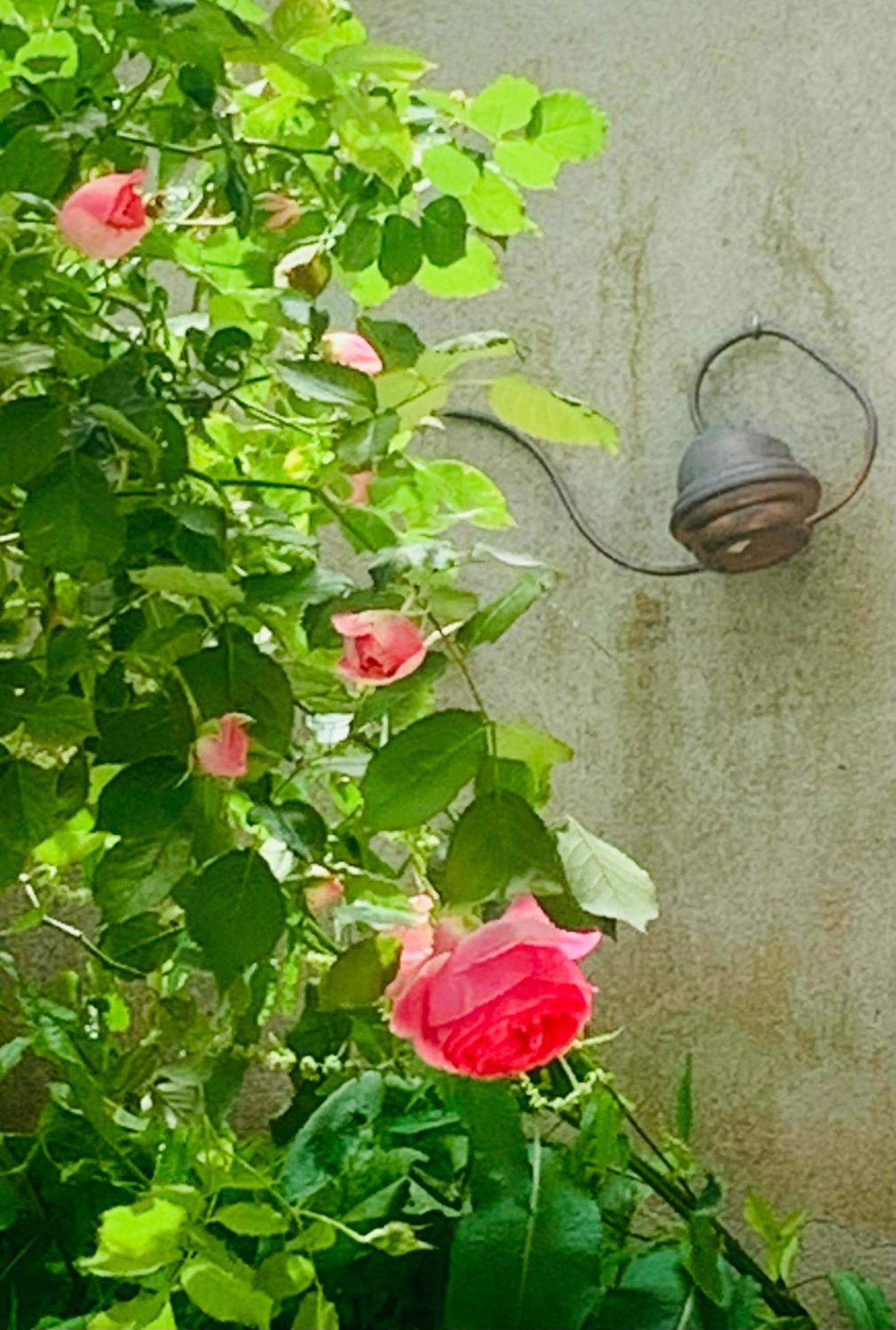Ibis Rouge Villa Villars-les-Dombes Exterior foto